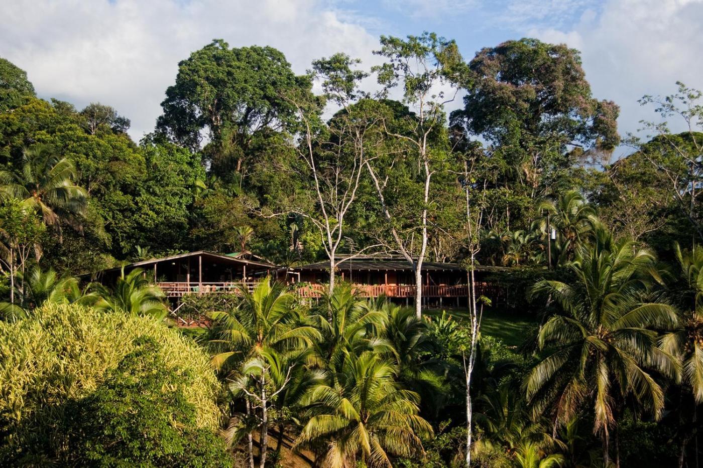 La Laguna Del Lagarto Eco-Lodge Pital  Eksteriør bilde