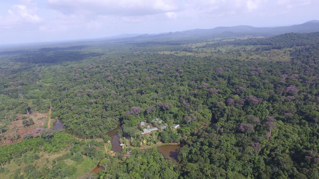 La Laguna Del Lagarto Eco-Lodge Pital  Eksteriør bilde