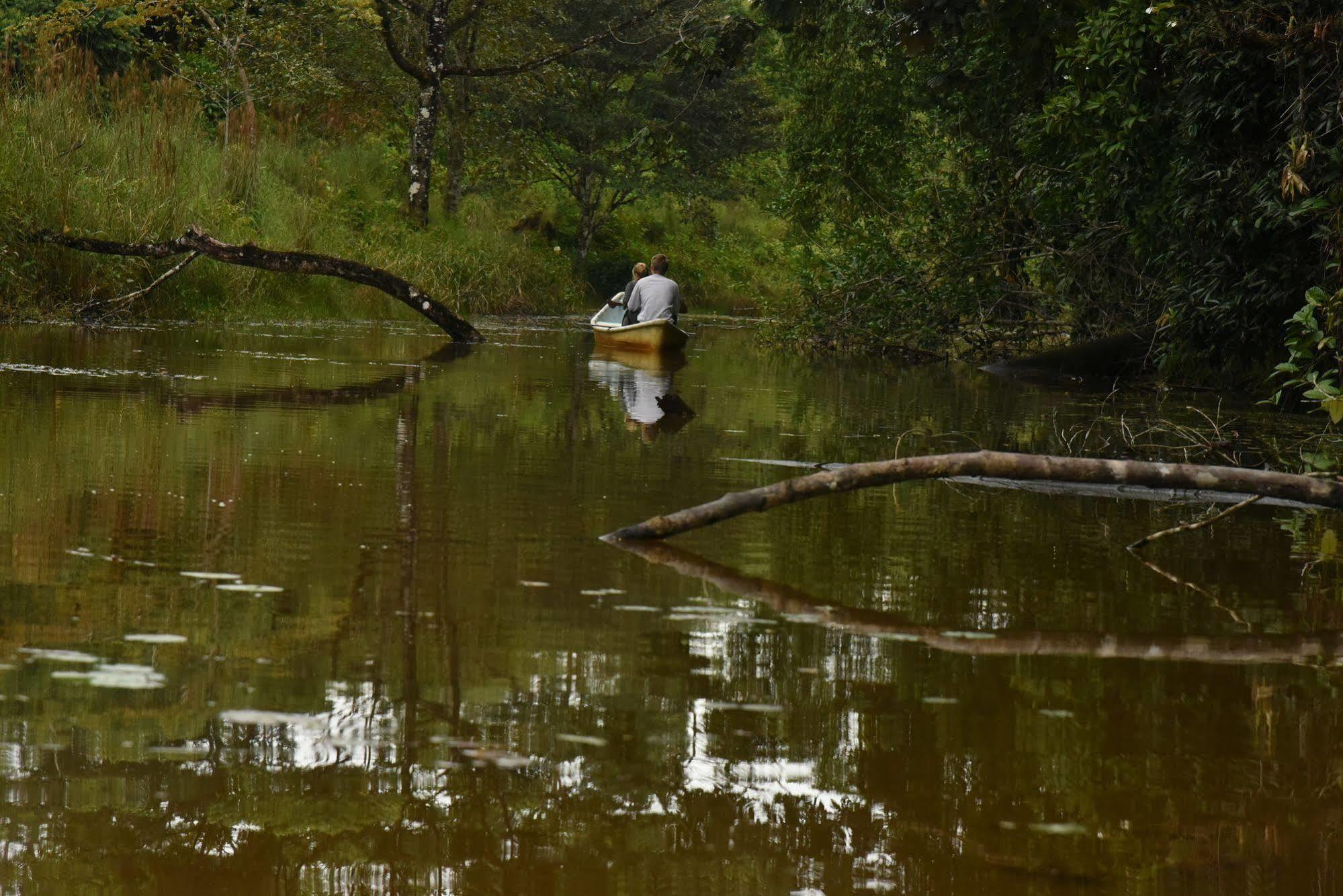 La Laguna Del Lagarto Eco-Lodge Pital  Eksteriør bilde
