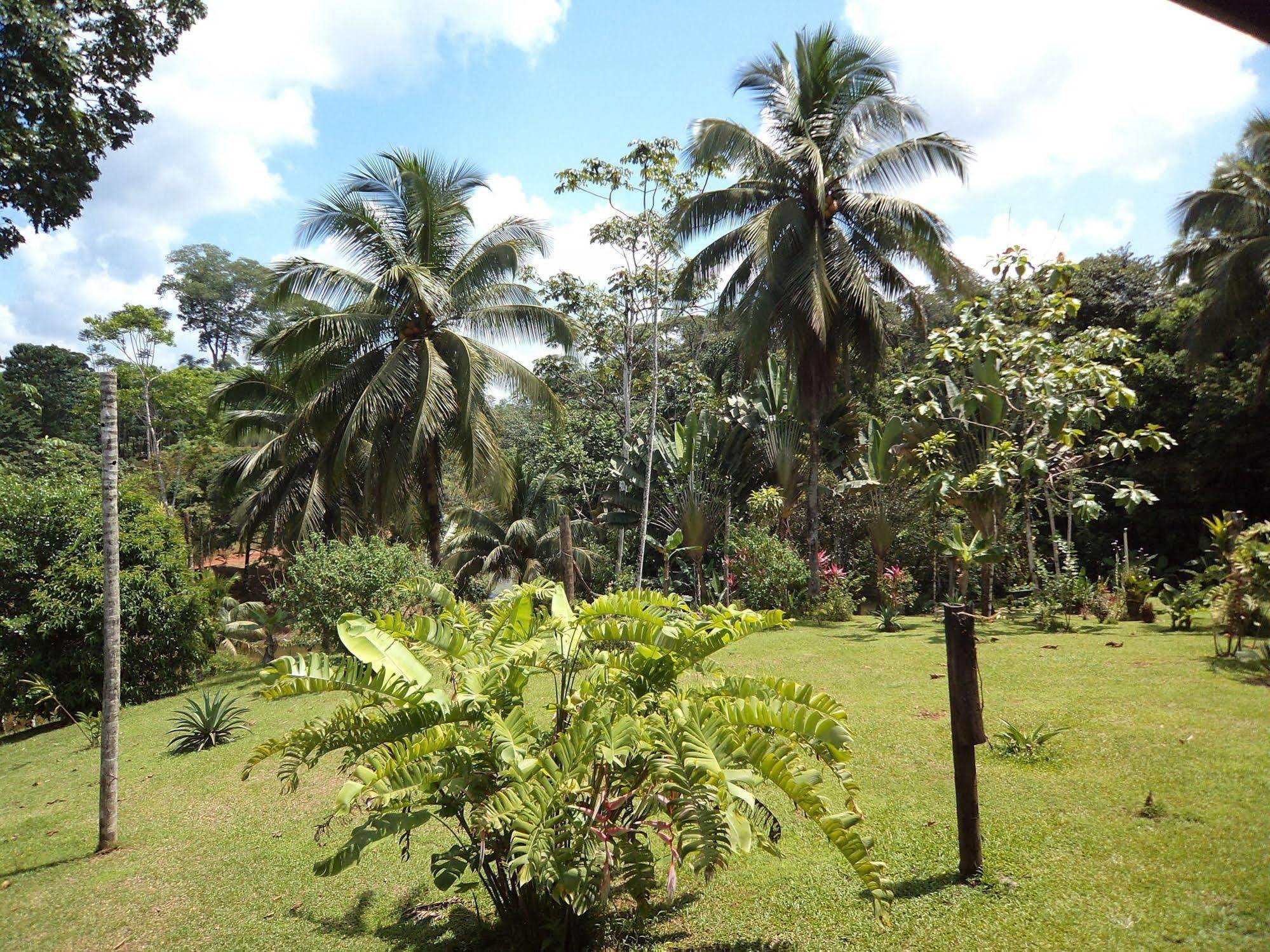 La Laguna Del Lagarto Eco-Lodge Pital  Eksteriør bilde