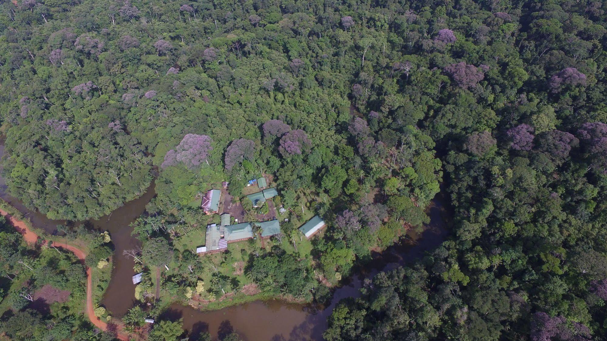 La Laguna Del Lagarto Eco-Lodge Pital  Eksteriør bilde