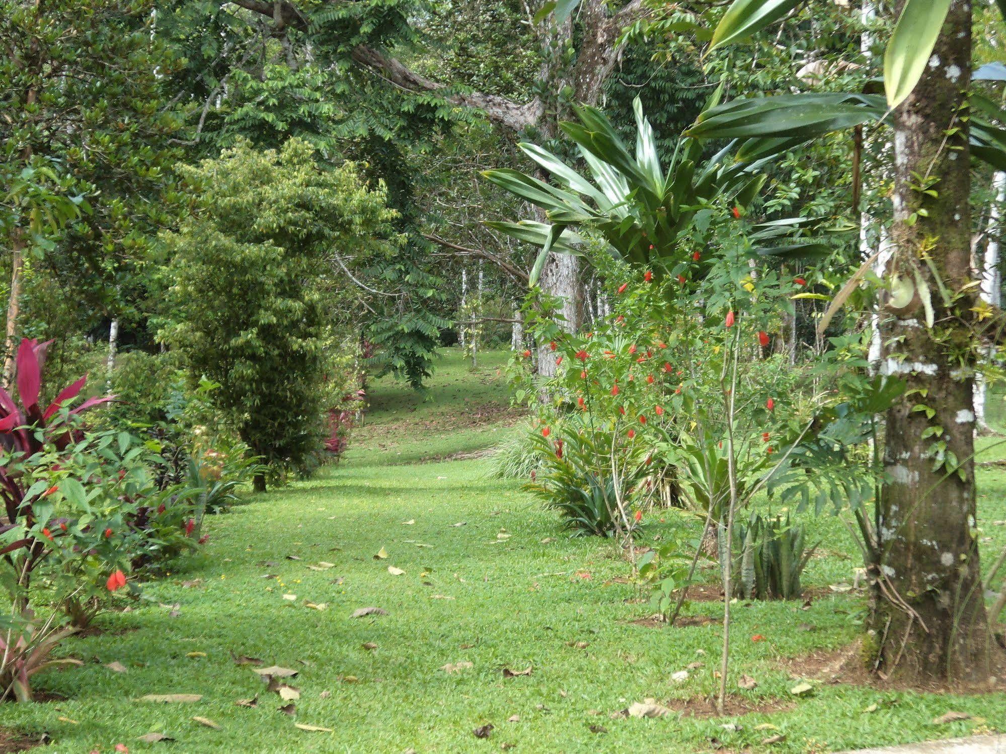 La Laguna Del Lagarto Eco-Lodge Pital  Eksteriør bilde