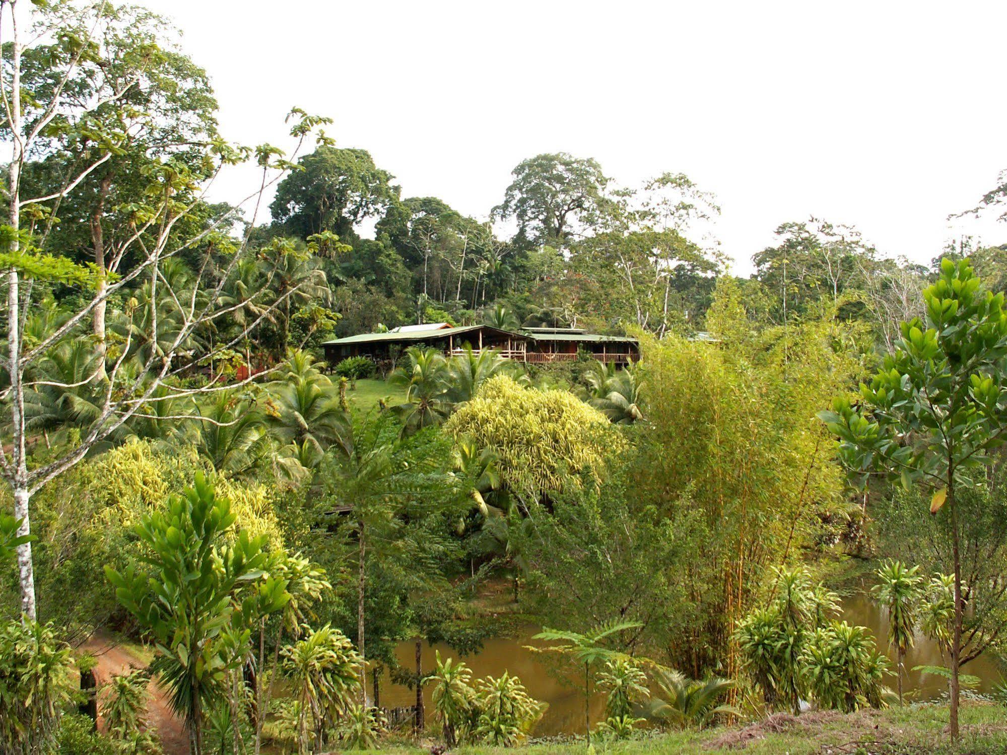 La Laguna Del Lagarto Eco-Lodge Pital  Eksteriør bilde