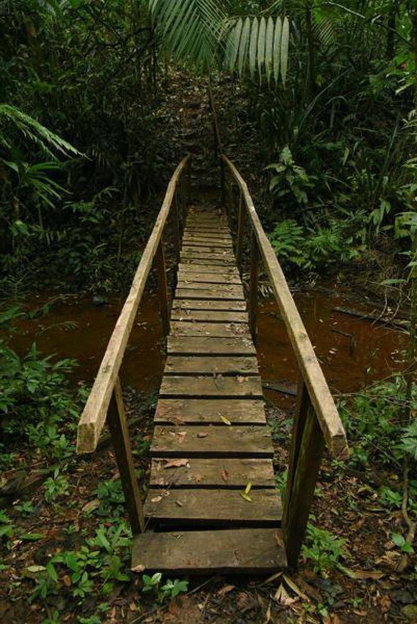 La Laguna Del Lagarto Eco-Lodge Pital  Eksteriør bilde