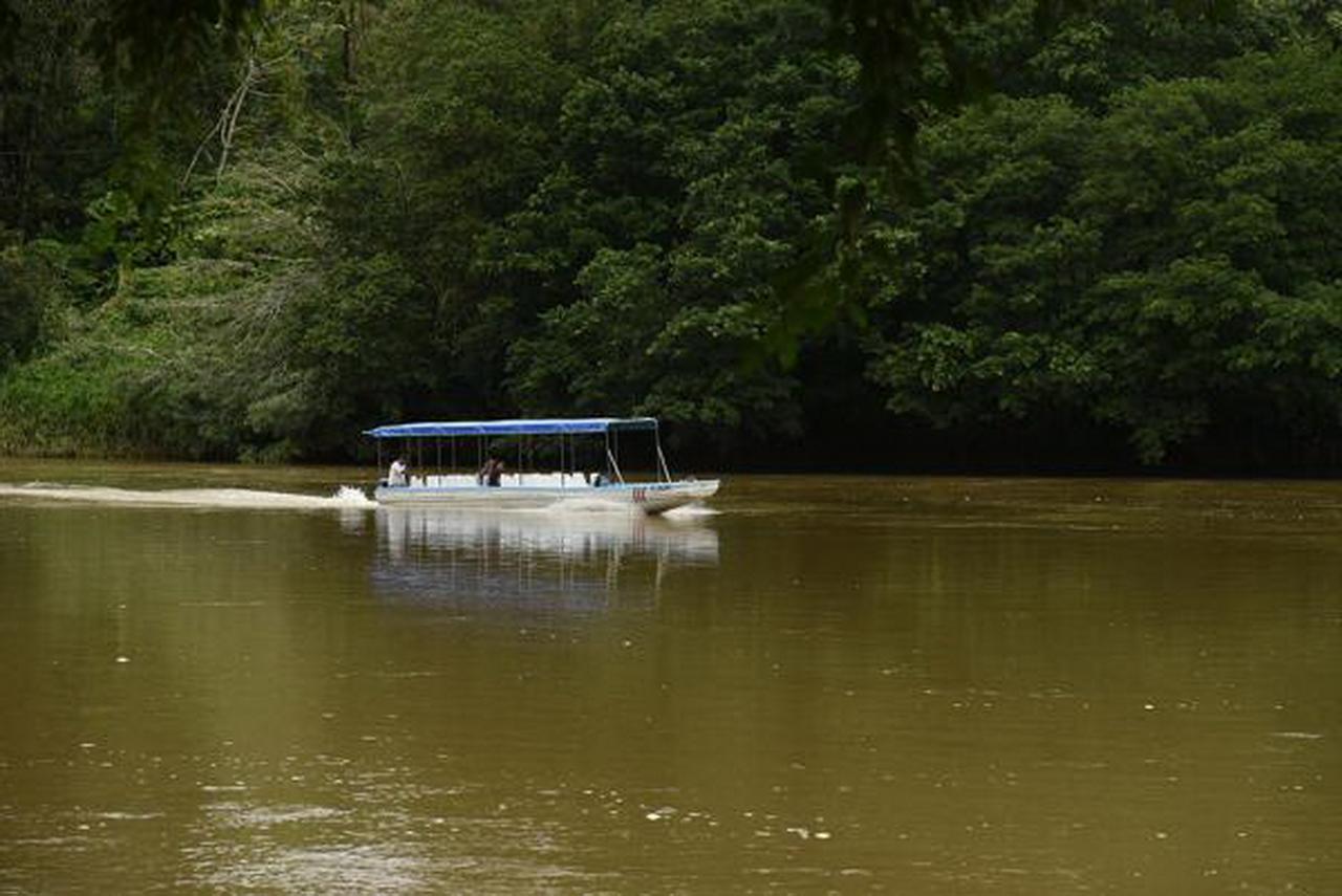 La Laguna Del Lagarto Eco-Lodge Pital  Eksteriør bilde